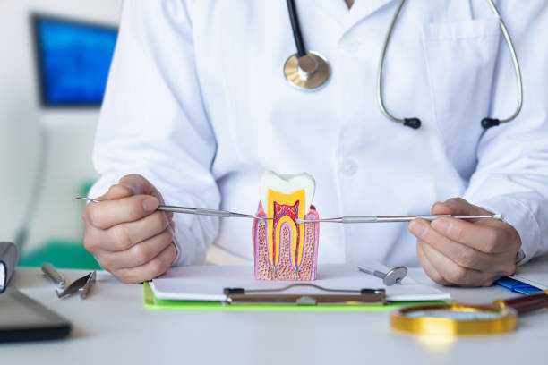 Best Pediatric Emergency Dentist in Horse Pasture, VA